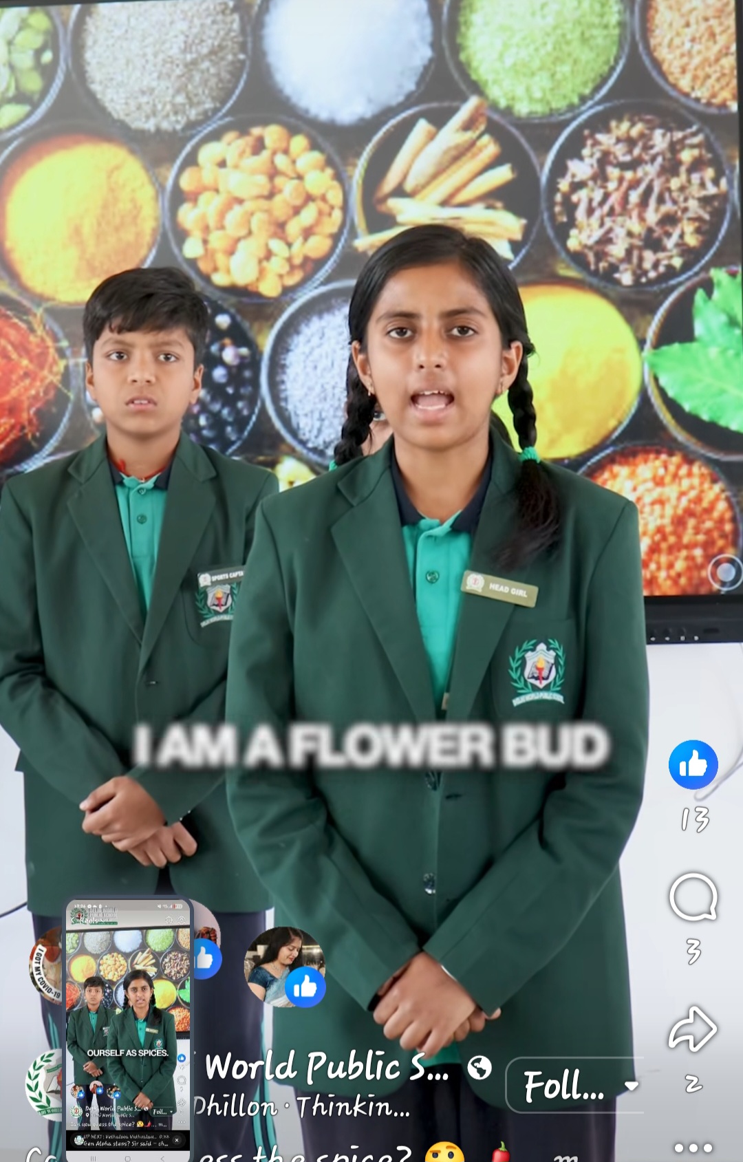 Fun and interactive adventure with buddy characters 